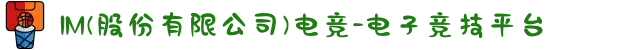 IM(股份有限公司)电竞-电子竞技平台
